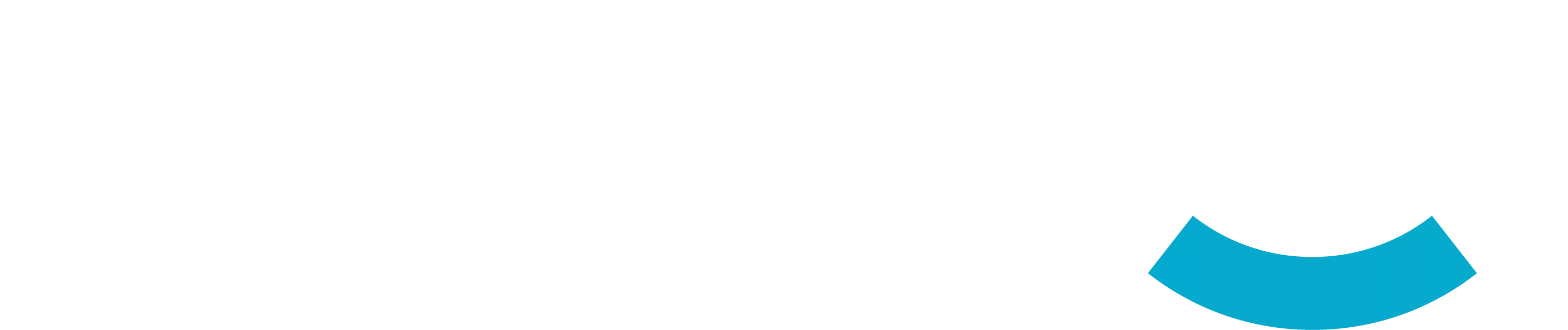 VDO_Advies_Logo_diap_cmyk.png